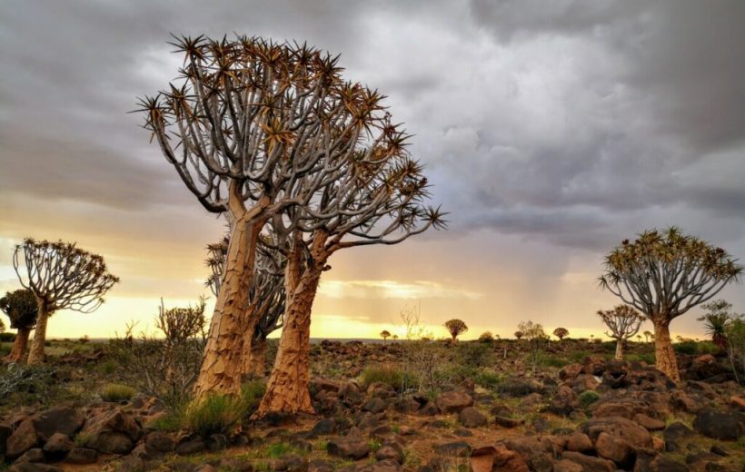 Keetmanshoop