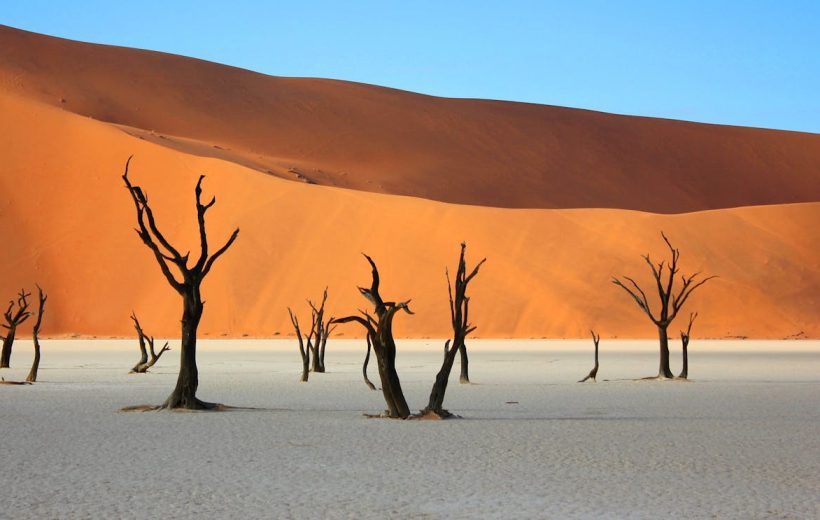 Deadvlei - Sossusvlei